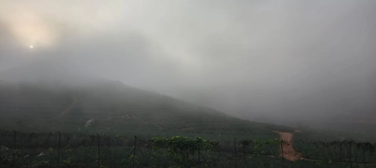 Western Ghats hill view